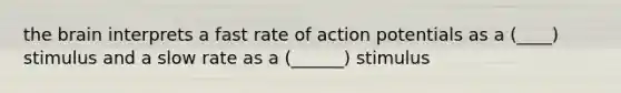 the brain interprets a fast rate of action potentials as a (____) stimulus and a slow rate as a (______) stimulus