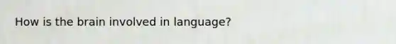 How is the brain involved in language?