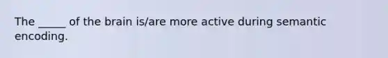 The _____ of the brain is/are more active during semantic encoding.