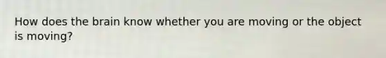 How does the brain know whether you are moving or the object is moving?