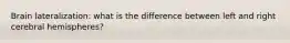 Brain lateralization: what is the difference between left and right cerebral hemispheres?