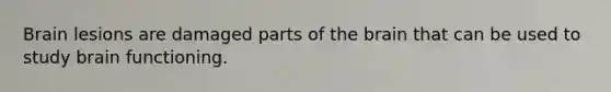 Brain lesions are damaged parts of the brain that can be used to study brain functioning.