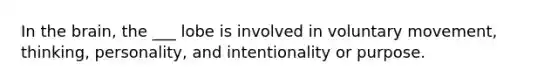 In the brain, the ___ lobe is involved in voluntary movement, thinking, personality, and intentionality or purpose.