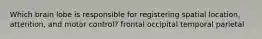 Which brain lobe is responsible for registering spatial location, attention, and motor control? frontal occipital temporal parietal