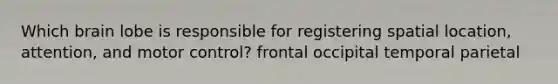 Which brain lobe is responsible for registering spatial location, attention, and motor control? frontal occipital temporal parietal