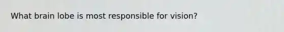 What brain lobe is most responsible for vision?