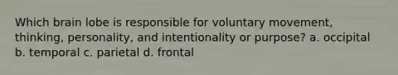 Which brain lobe is responsible for voluntary movement, thinking, personality, and intentionality or purpose? a. occipital b. temporal c. parietal d. frontal