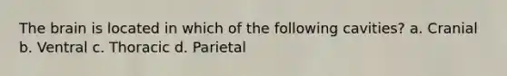 The brain is located in which of the following cavities? a. Cranial b. Ventral c. Thoracic d. Parietal