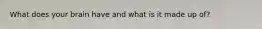 What does your brain have and what is it made up of?