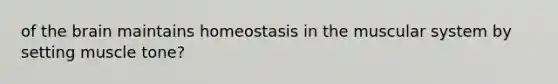 of <a href='https://www.questionai.com/knowledge/kLMtJeqKp6-the-brain' class='anchor-knowledge'>the brain</a> maintains homeostasis in the muscular system by setting muscle tone?