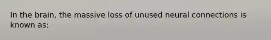 In the brain, the massive loss of unused neural connections is known as: