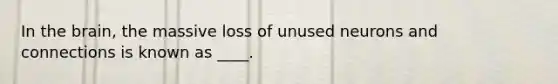 In the brain, the massive loss of unused neurons and connections is known as ____.