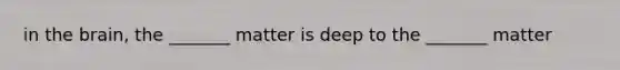 in the brain, the _______ matter is deep to the _______ matter