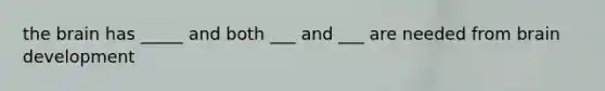 the brain has _____ and both ___ and ___ are needed from brain development