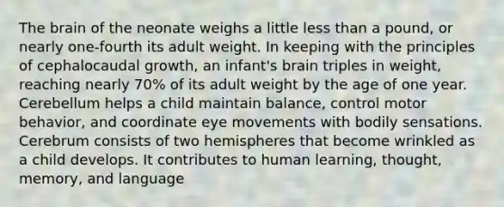 The brain of the neonate weighs a little less than a pound, or nearly one-fourth its adult weight. In keeping with the principles of cephalocaudal growth, an infant's brain triples in weight, reaching nearly 70% of its adult weight by the age of one year. Cerebellum helps a child maintain balance, control motor behavior, and coordinate eye movements with bodily sensations. Cerebrum consists of two hemispheres that become wrinkled as a child develops. It contributes to human learning, thought, memory, and language