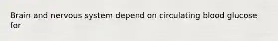 Brain and nervous system depend on circulating blood glucose for