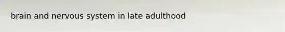 brain and nervous system in late adulthood