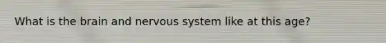 What is the brain and nervous system like at this age?