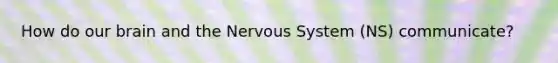 How do our brain and the Nervous System (NS) communicate?