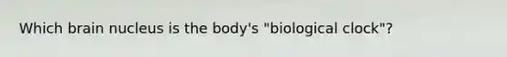 Which brain nucleus is the body's "biological clock"?