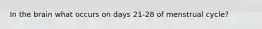 In the brain what occurs on days 21-28 of menstrual cycle?