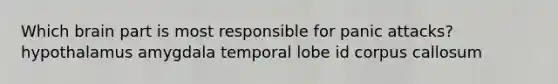 Which brain part is most responsible for panic attacks? hypothalamus amygdala temporal lobe id corpus callosum