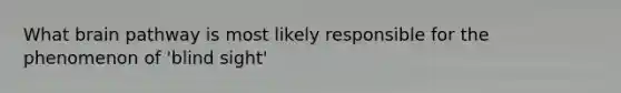 What brain pathway is most likely responsible for the phenomenon of 'blind sight'
