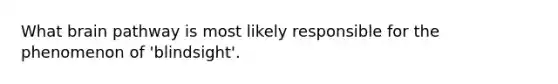 What brain pathway is most likely responsible for the phenomenon of 'blindsight'.
