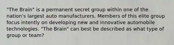 "The Brain" is a permanent secret group within one of the nation's largest auto manufacturers. Members of this elite group focus intently on developing new and innovative automobile technologies. "The Brain" can best be described as what type of group or team?