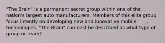 "The Brain" is a permanent secret group within one of the nation's largest auto manufacturers. Members of this elite group focus intently on developing new and innovative mobile technologies. "The Brain" can best be described as what type of group or team?