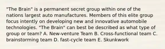 "The Brain" is a permanent secret group within one of the nations largest auto manufactures. Members of this elite group focus intently on developing new and innovative automobile technologies. "The Brain" can best be described as what type of group or team? A. New-venture Team B. Cross-functional team C. brainstorming team D. fast-cycle team E. Skunkwork