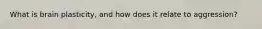 What is brain plasticity, and how does it relate to aggression?