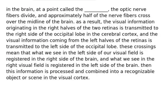 in the brain, at a point called the __________, the optic nerve fibers divide, and approximately half of the nerve fibers cross over the midline of the brain. as a result, the visual information originating in the right halves of the two retinas is transmitted to the right side of the occipital lobe in the cerebral cortex, and the visual information coming from the left halves of the retinas is transmitted to the left side of the occipital lobe. these crossings mean that what we see in the left side of our visual field is registered in the right side of the brain, and what we see in the right visual field is registered in the left side of the brain. then this information is processed and combined into a recognizable object or scene in the visual cortex.