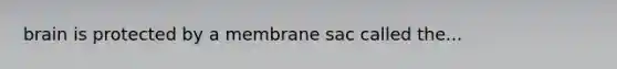 brain is protected by a membrane sac called the...