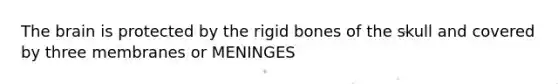 <a href='https://www.questionai.com/knowledge/kLMtJeqKp6-the-brain' class='anchor-knowledge'>the brain</a> is protected by the rigid bones of the skull and covered by three membranes or MENINGES