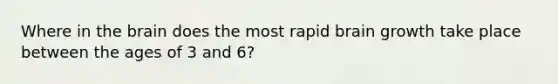 Where in the brain does the most rapid brain growth take place between the ages of 3 and 6?