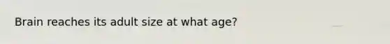 Brain reaches its adult size at what age?