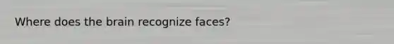 Where does the brain recognize faces?