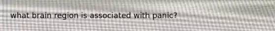 what brain region is associated with panic?