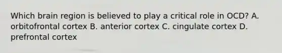 Which brain region is believed to play a critical role in OCD? A. orbitofrontal cortex B. anterior cortex C. cingulate cortex D. prefrontal cortex