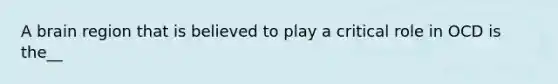 A brain region that is believed to play a critical role in OCD is the__