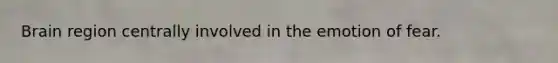 Brain region centrally involved in the emotion of fear.