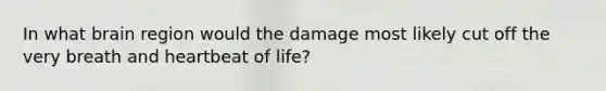 In what brain region would the damage most likely cut off the very breath and heartbeat of life?