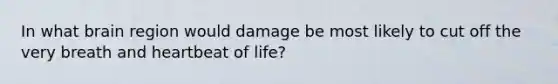 In what brain region would damage be most likely to cut off the very breath and heartbeat of life?