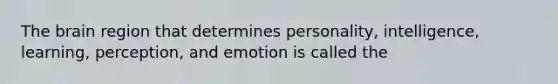 The brain region that determines personality, intelligence, learning, perception, and emotion is called the