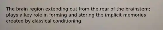 The brain region extending out from the rear of the brainstem; plays a key role in forming and storing the implicit memories created by classical conditioning