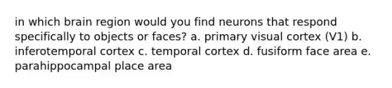 in which brain region would you find neurons that respond specifically to objects or faces? a. primary visual cortex (V1) b. inferotemporal cortex c. temporal cortex d. fusiform face area e. parahippocampal place area