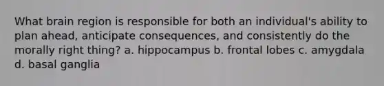 What brain region is responsible for both an individual's ability to plan ahead, anticipate consequences, and consistently do the morally right thing? a. hippocampus b. frontal lobes c. amygdala d. basal ganglia