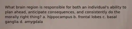 What brain region is responsible for both an individual's ability to plan ahead, anticipate consequences, and consistently do the morally right thing? a. hippocampus b. frontal lobes c. basal ganglia d. amygdala