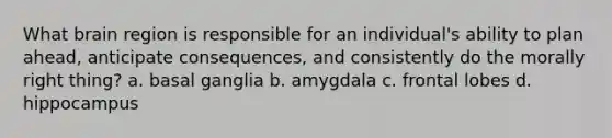 What brain region is responsible for an individual's ability to plan ahead, anticipate consequences, and consistently do the morally right thing? a. basal ganglia b. amygdala c. frontal lobes d. hippocampus